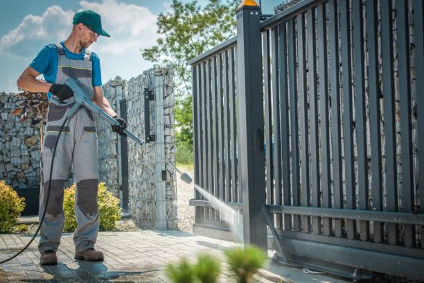 Best Graffiti Removal  in Raymondville, TX